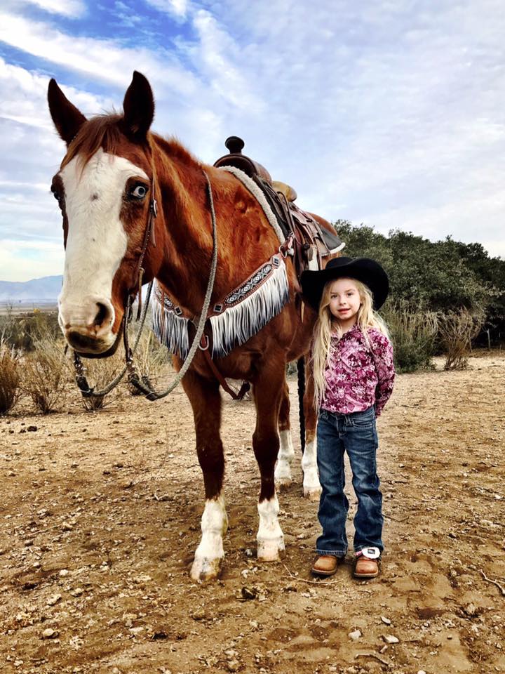 Horse Tack and Accessories