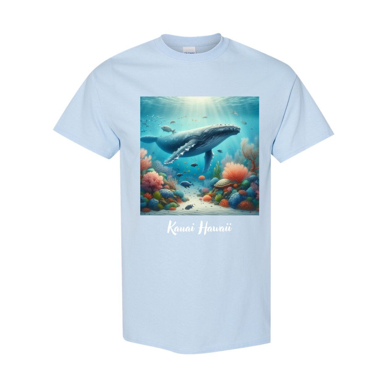 Hump Back Whale Under the Sea