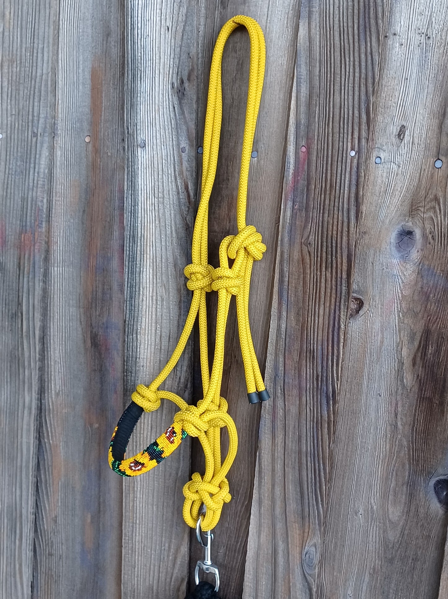 Sunflower Beaded Rope Horse and Pony Halters with Lead Yellow