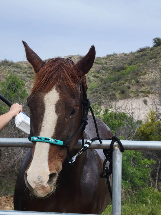 The Herd Running Horses Beaded Horse and Pony Halter with Lead